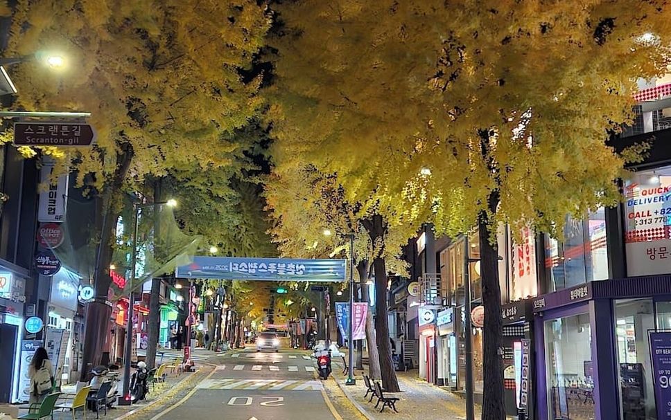 室外景 相片