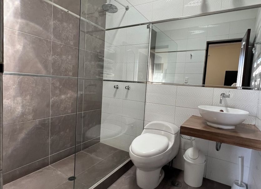 其他 相片
