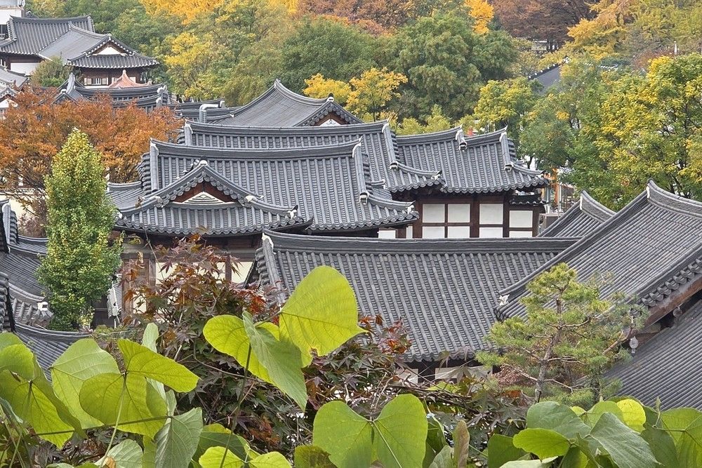 室外景