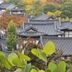 室外景