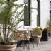 天井