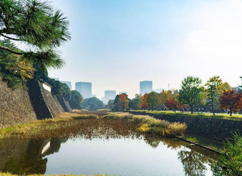 室外景 相片