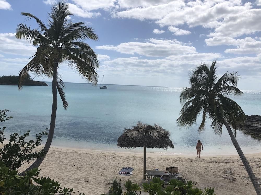 海灘 相片