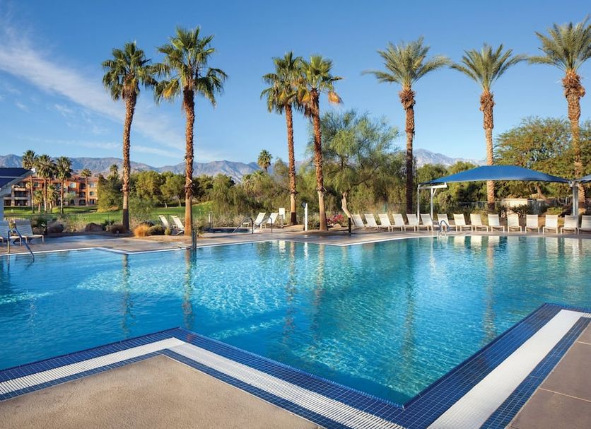 游泳池 相片