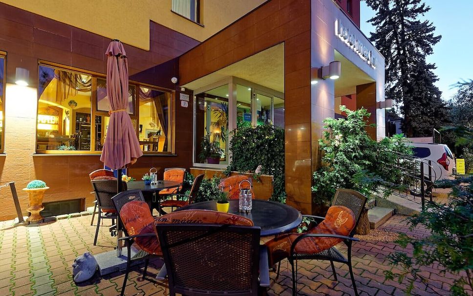 天井 相片