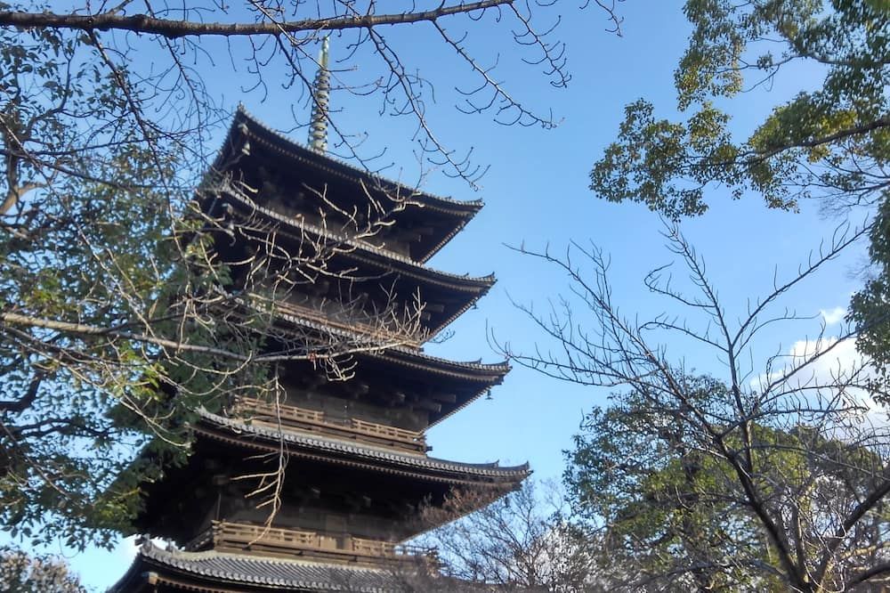 室外景