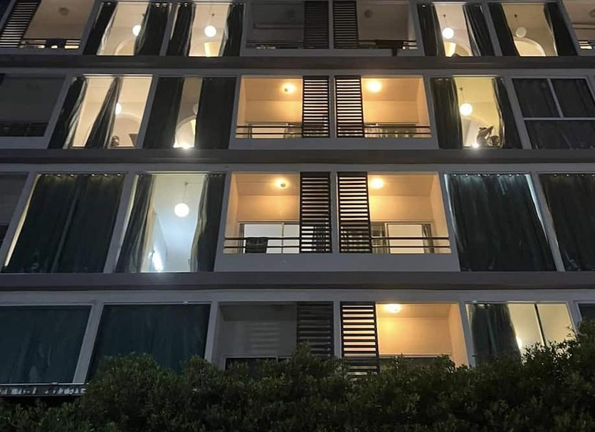 建築 相片