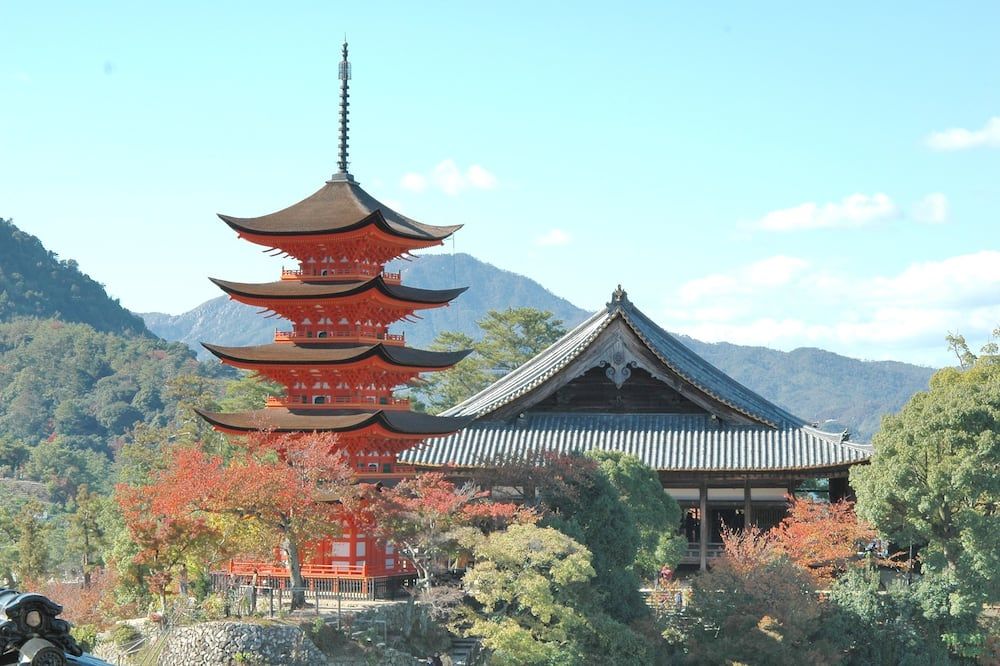 室外景 相片