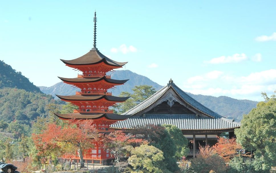 室外景 相片