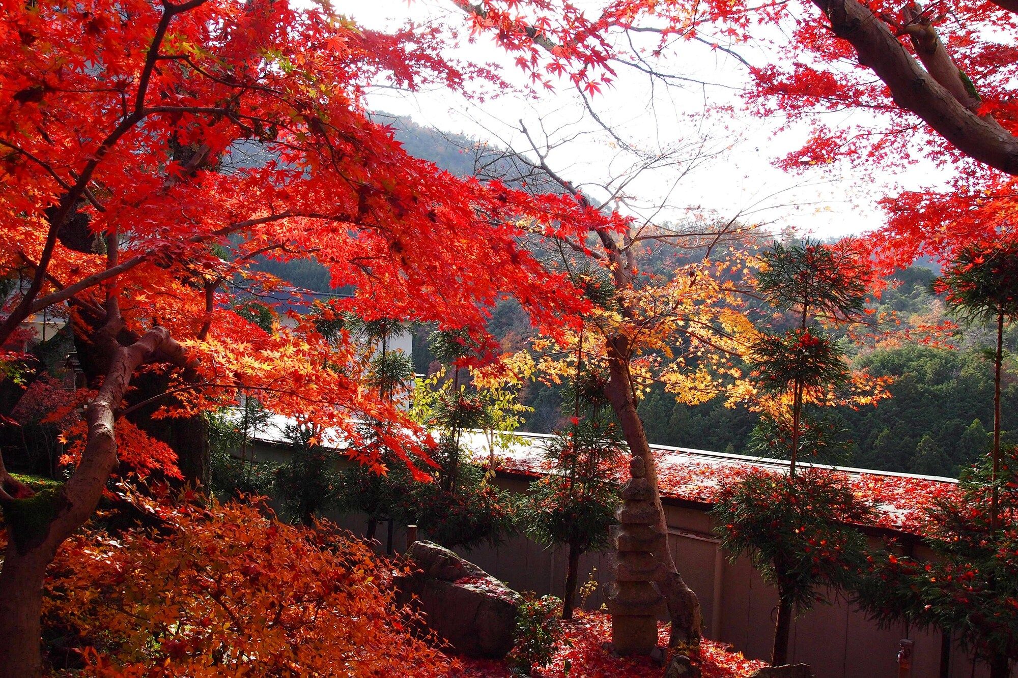 室外景