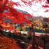 室外景