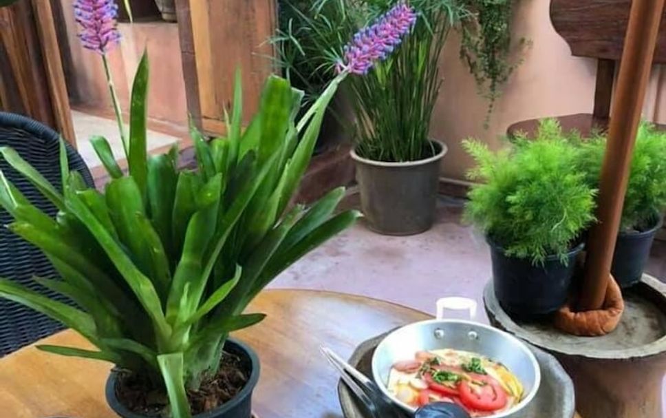 餐廳 相片