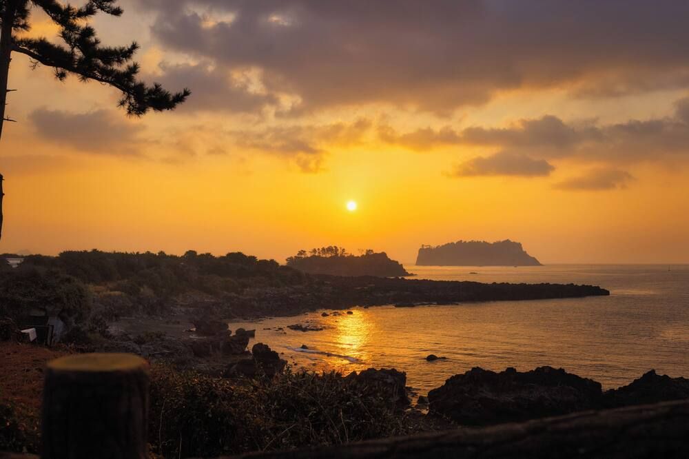 室外景 相片