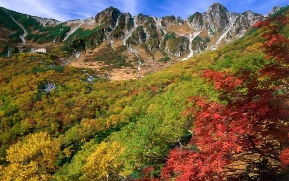 室外景 相片