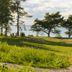 室外景