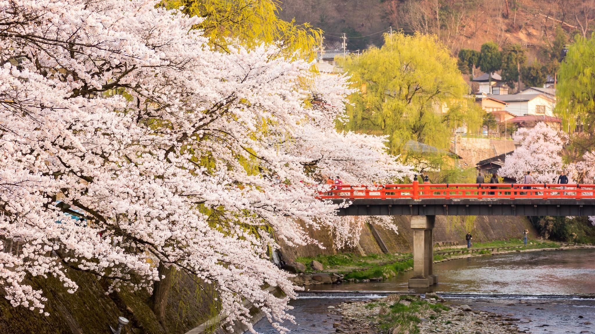 室外景