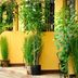 室外景