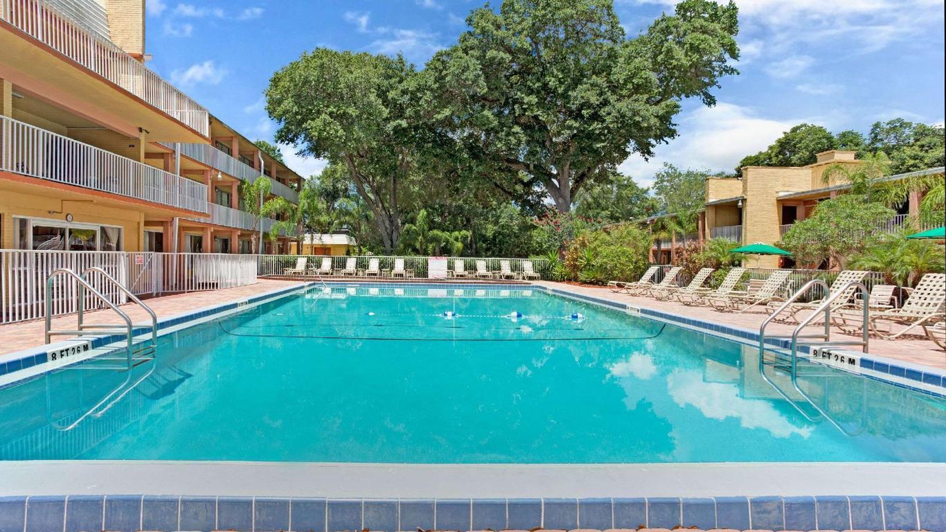 基西米熱帶棕櫚樹豪生酒店 - 基西米