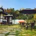 天井