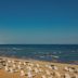 海灘