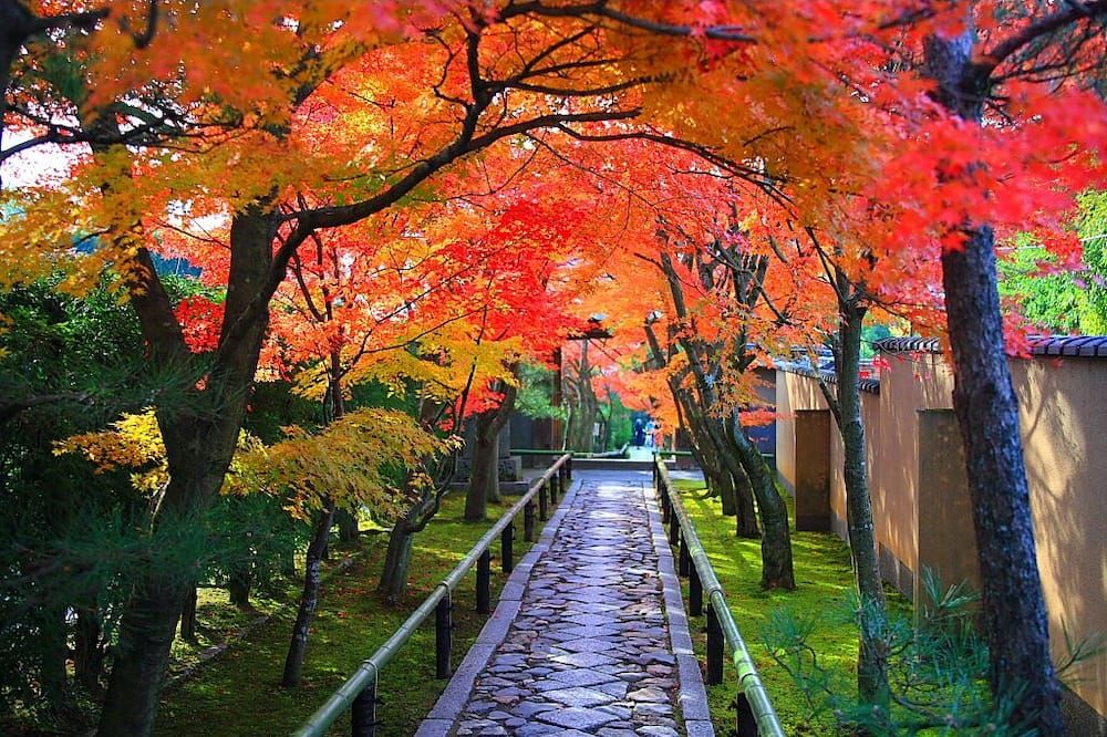 室外景