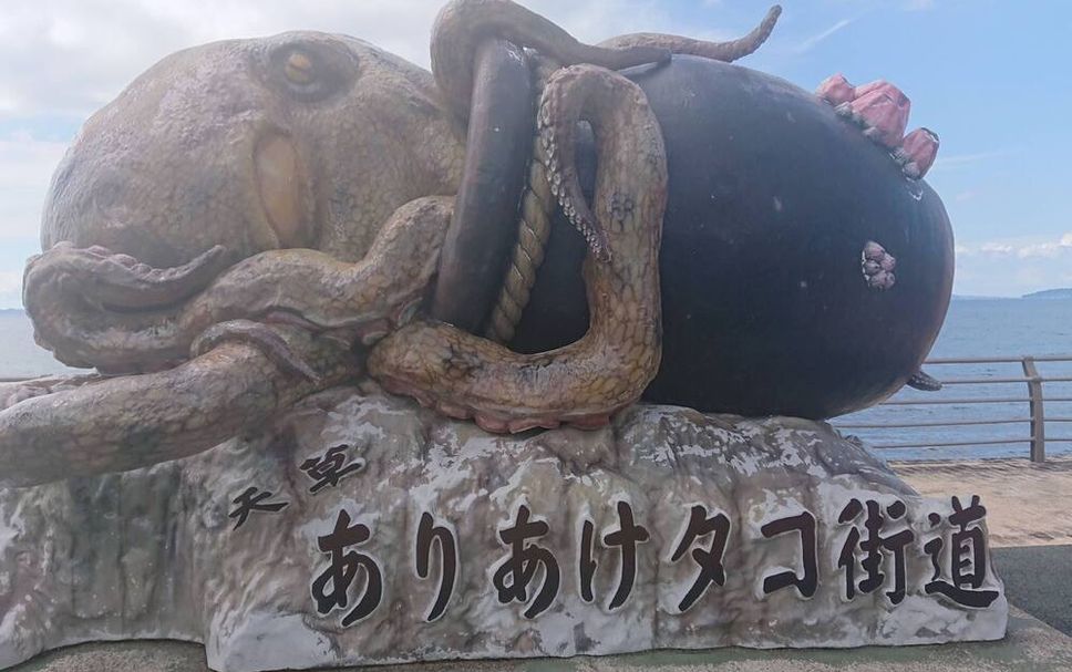 其他 相片