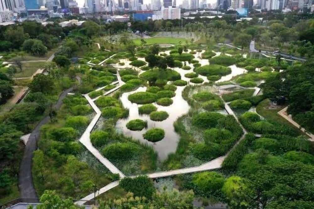室外景 相片
