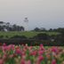 室外景