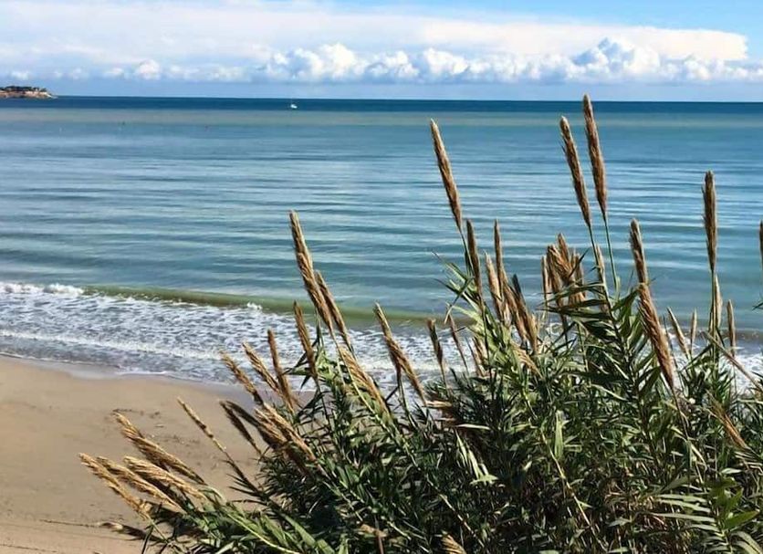 海灘 相片