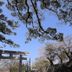 室外景