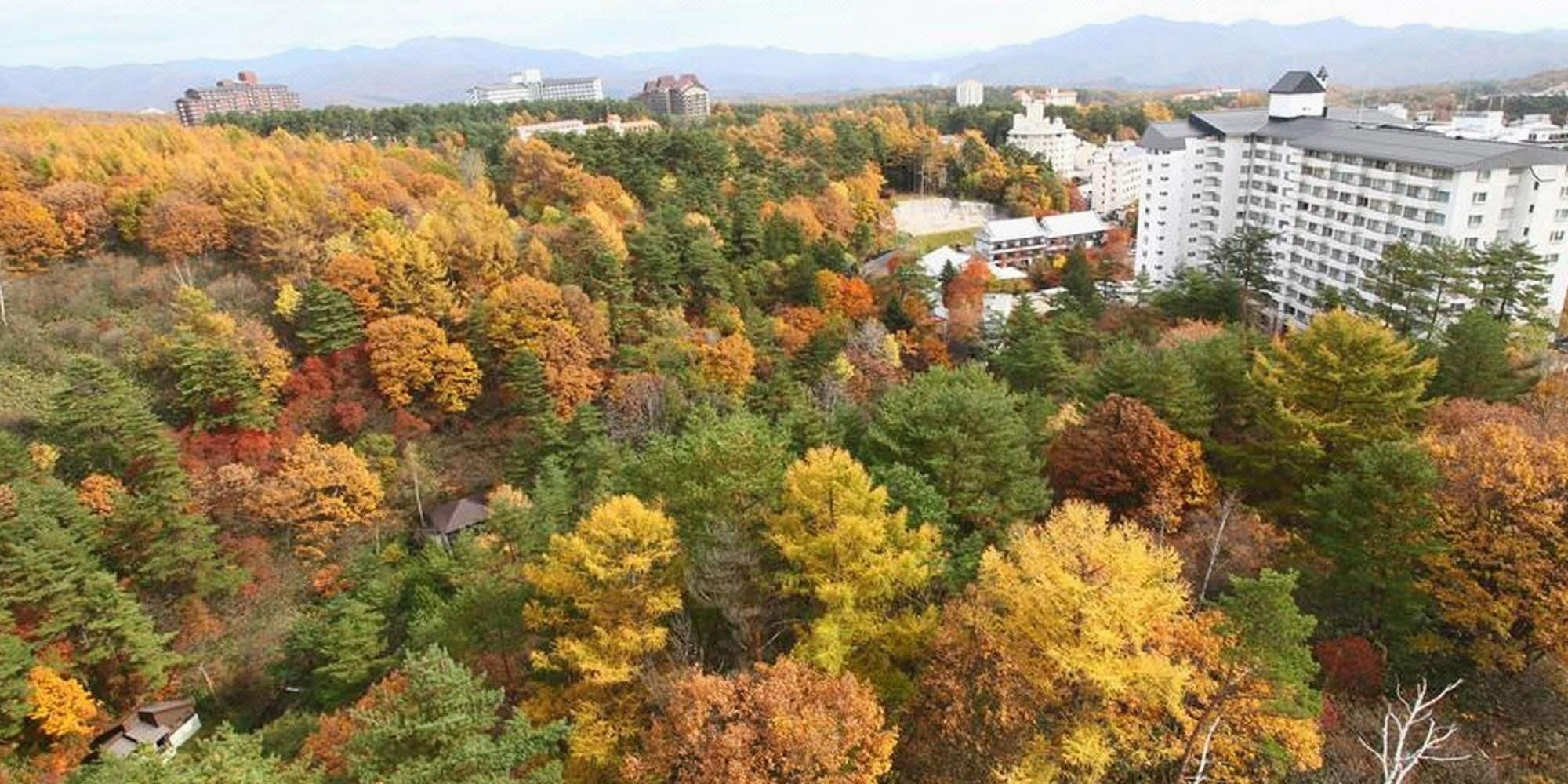 室外景