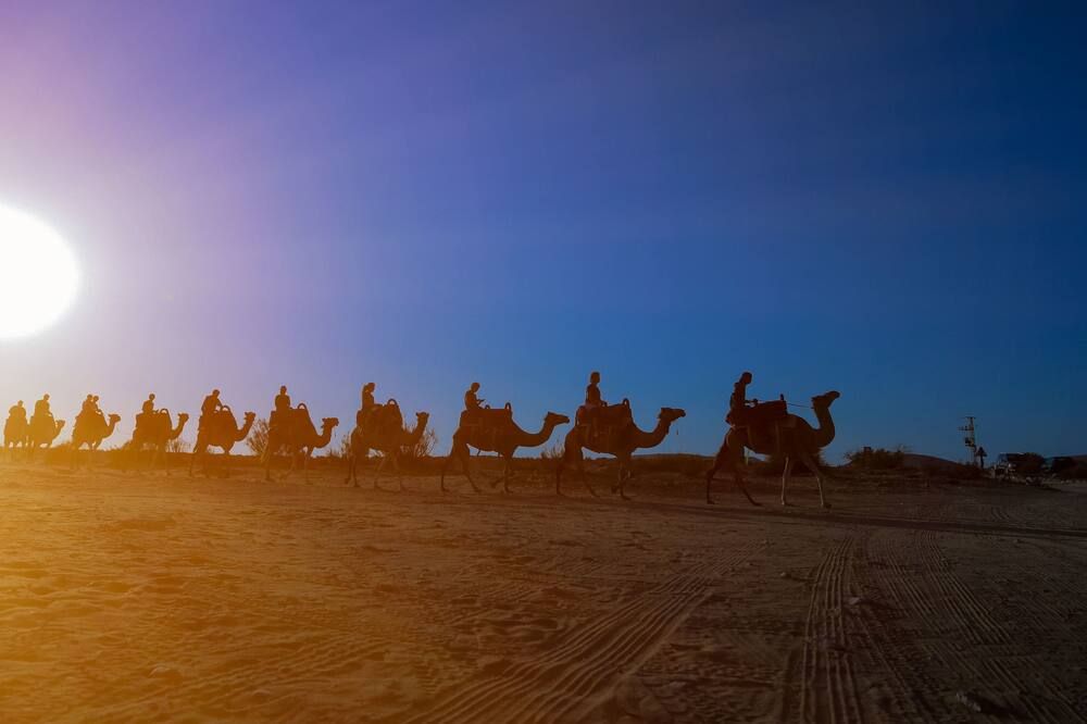 其他