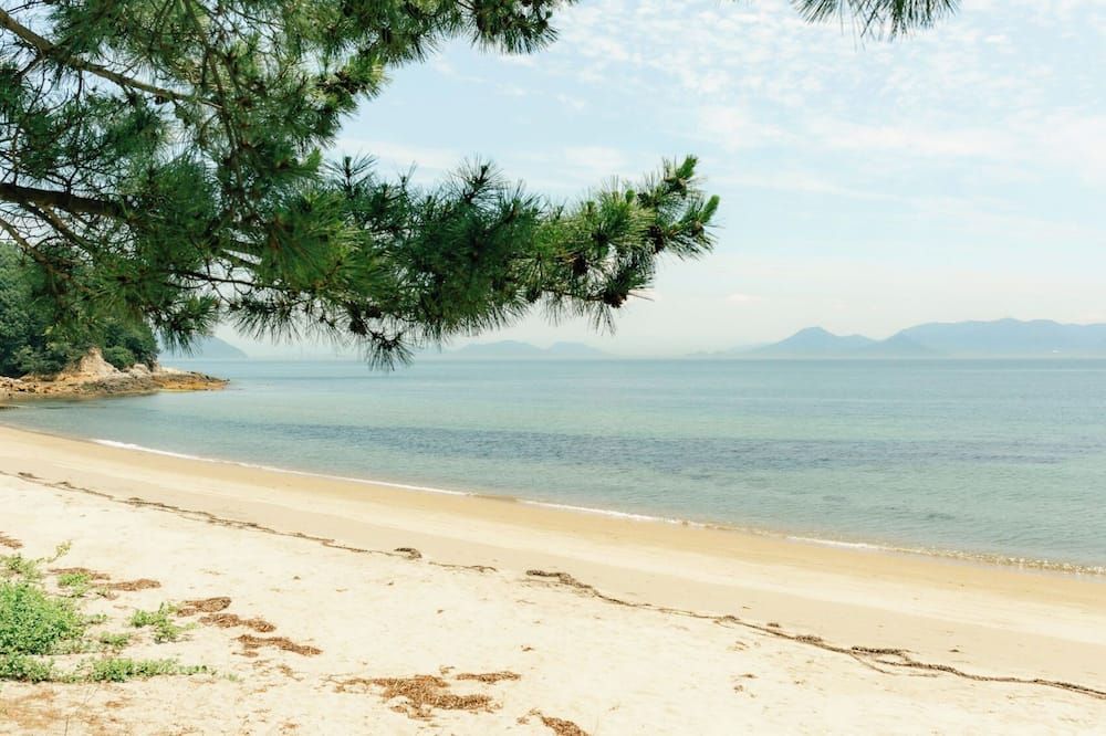 海灘 相片