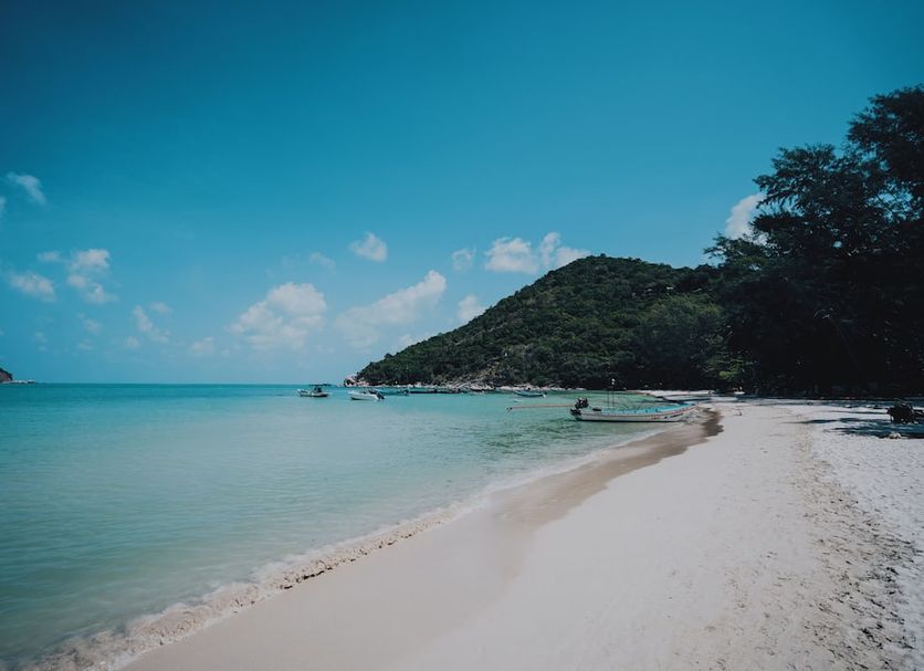 海灘 相片