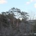 室外景