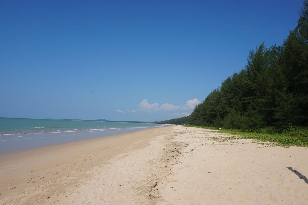 海灘 相片