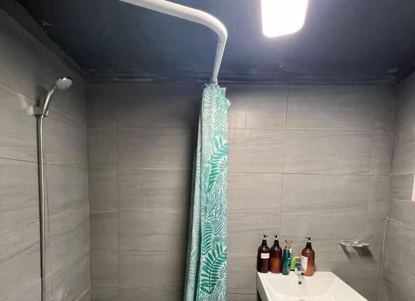 其他 相片