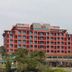 建築