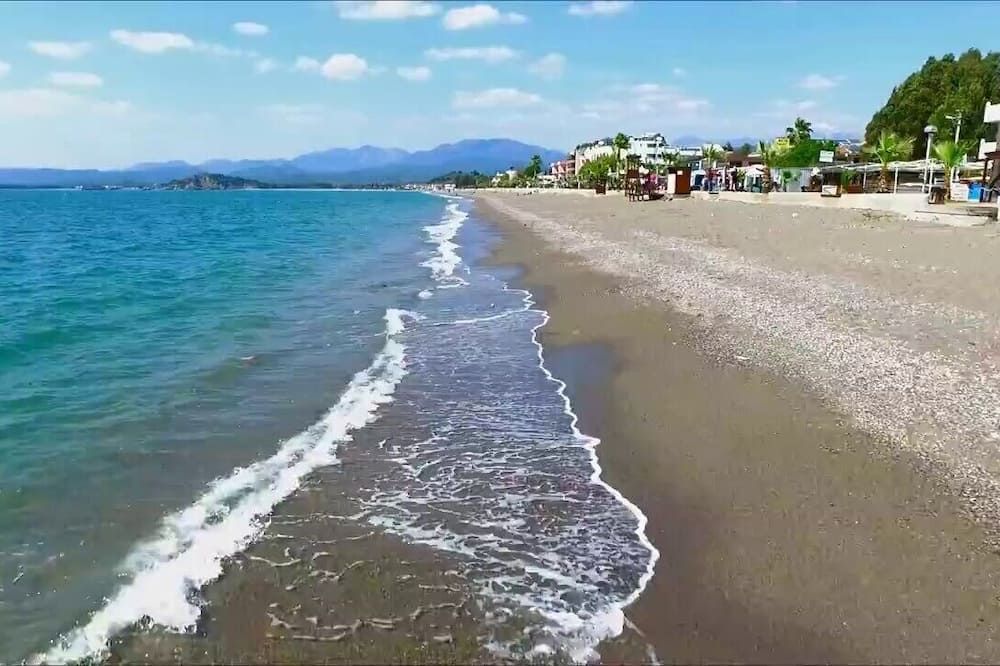 海灘