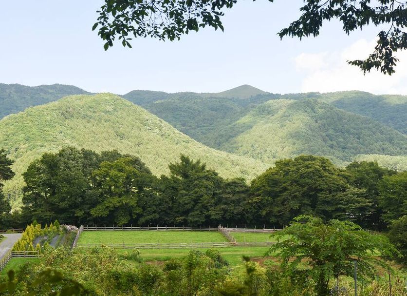 室外景 相片