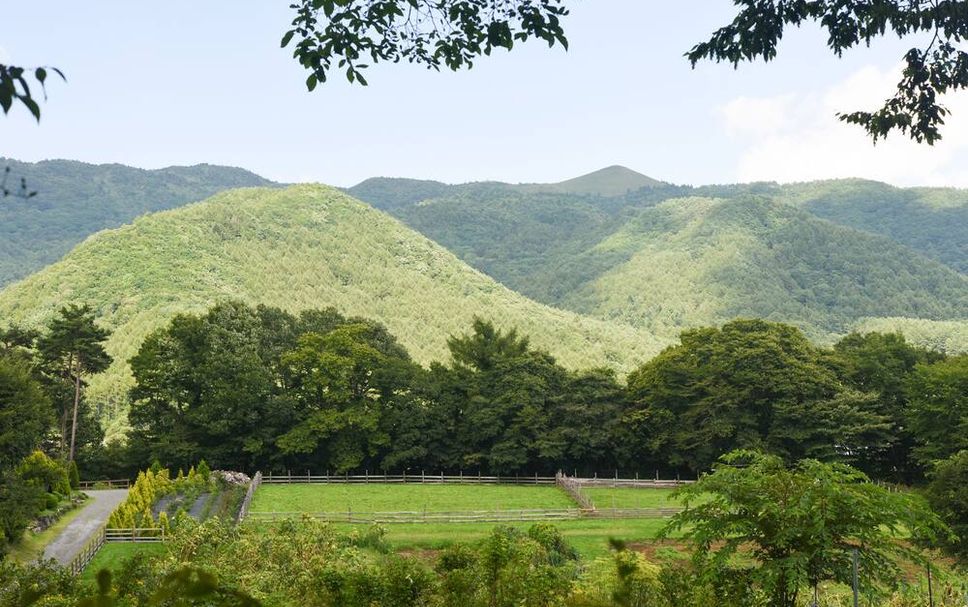 室外景 相片