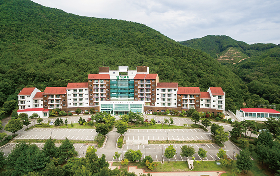 建築 相片