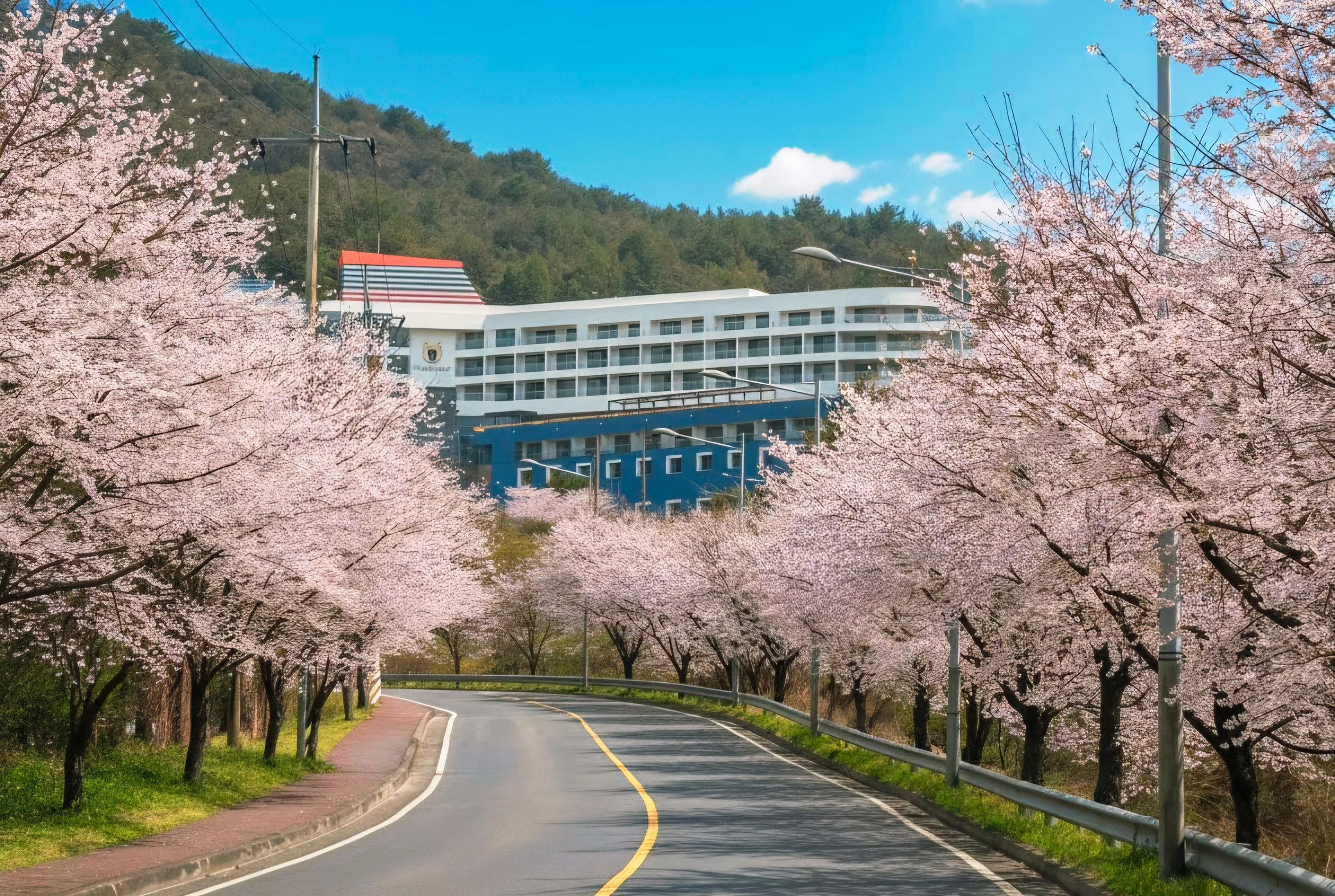 室外景 相片